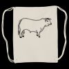 Canvas Drawstring Backpack Thumbnail