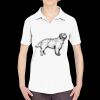 Ladies' Cool & Dry Sport Performance Interlock Polo Thumbnail