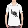 Ladies' Cool & Dry Sport Performance Interlock Polo Thumbnail