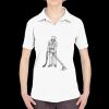 Ladies' Cool & Dry Sport Performance Interlock Polo Thumbnail